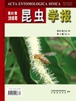 手 工