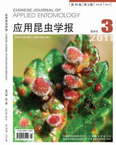 星空体育app入口官方网站入口说明