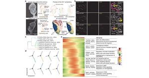 星空体育最新版下载在HOPE装置建设