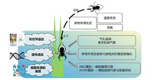 活动时间
