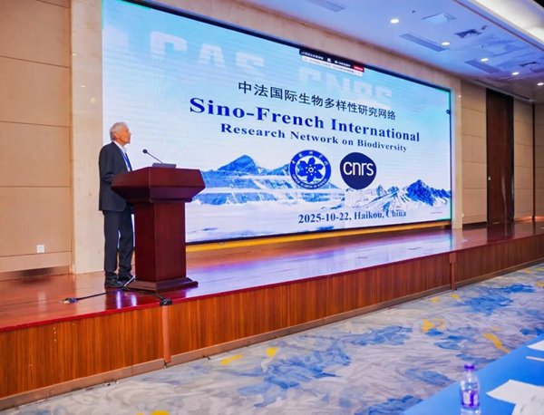 星空体育app入口与欧洲杯达成官方合