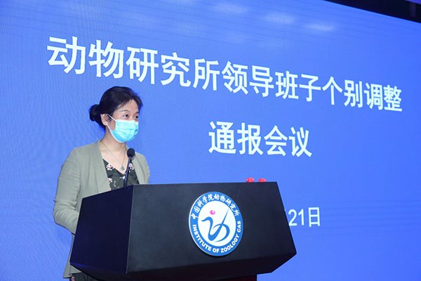 人力资源部