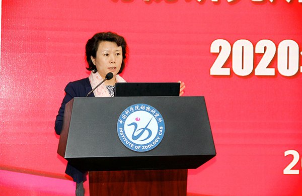 2020-06-17 | 来源