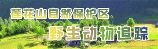 书 画