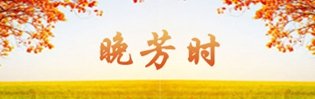 摄 影