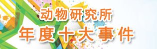 书 画