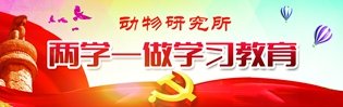 手 工