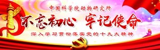 摄 影