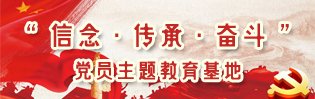 综合创新能力达到国际先进水平